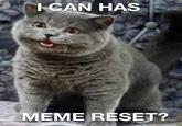 I CAN HAS MEME RESET?