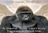 I am back, brothers A meme reset can't truly happen without me