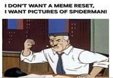 I DON'T WANT A MEME RESET, I WANT PICTURES OF SPIDERMAN!