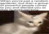When you're just a random gardener, but then a group of powerful people comes to you and elected you as their (substitute) king: u/Khantlerpartesa