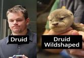 Druid Druid Wildshaped