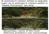 A woman's vision when a regular man vs a woman's vision when a "Male Feminist" be like: Human vision Other mammals' vision Remember, some of the most effective predators use camouflage