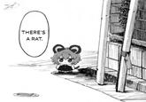 THERE'S A RAT.