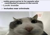 noble peace prize is for people who contributed to peace in the world > Look inside > includes war criminals imgflip.com