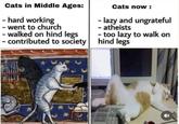 Cats in Middle Ages: - hard working - went to church - walked on hind legs - contributed to society Cats now: - lazy and ungrateful - atheists too lazy to walk on hind legs