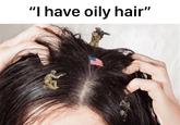 "I have oily hair"