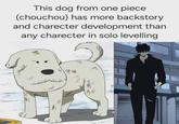 This dog from one piece (chouchou) has more backstory and charecter development than any charecter in solo levelling 二