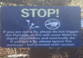 STOP! DO NOT Wiregrass TOUCH!! If you are not a fly, please do not trigger the Flytraps, as this will cause them to digest themselves and eventually die. If you are a fly, please ignore this message - but proceed with caution.