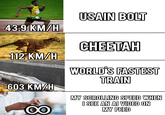 43.9 KM/H 112 KM/H 603 KM/H OO USAIN BOLT CHEETAH WORLD'S FASTEST TRAIN MY SCROLLING SPEED WHEN I SEE AN AI VIDEO ON MY FEED