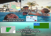 UNITED STATES 732 MEXICO "TEXAN INDEPENDENCE" "HAWAIIAN INDEPENDENCE" LOUTOFLY AMERICAN PUBLIC "VERMONTER INDEPENDENCE"