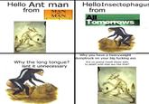 Hello Ant man from MAN Hello Insectophagus from after MAN All Tomorrows Why the long tongue? isnt it unnecessary Why you have a heavyweight dumptruck on your big f------ ass Are ya gonna twerk those ants to death with that ass like that?