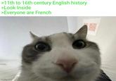 >11th to 16th century English history >Look Inside >Everyone are French imgflip.com