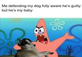 Me defending my dog fully aware he's guilty but he's my baby