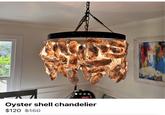 Oyster shell chandelier $120 $150
