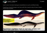 TutleZ/거북데스네 @ZTutle99399 X.com Loch ness monster being an amphibian is such a brilliant idea It getting chytrid fungus can link with the reason why it hasn't been showing up lately Illus. 5 Hypothetical amphibians, based on Loch Ness evidence. Limbs with digits, webbed or unwebbed, would also be possible, as would the complete omission of the rear pair of appendages. C. S. Wellek drawings. Hypothetical amphibians based on Loch Ness evidence, male (above) and female (below). (Courtesy Roy Mackal) 9:00 PM 12/20/25 32K Views