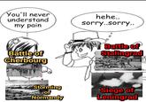 You'll never understand my pain hehe.. sorry..sorry.. Battle of Cherbourg Battle of Stalingrad Storming of Normandy Siege of Leningrad 51