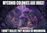 MYCONID COLONIES ARE HUGE! I DIDN'T REALIZE THEY NEEDED SO MUSHROOM.