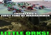 TREEBEARD'S FIRST TIME AT WARHAMMER LITTLE ORKS!