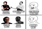 CHUCK NORRIS OVERLY MANLY CLASSIC MAN MEMES SIGMA GIGA BRAIN MALE CHAD ROT imgflip.com