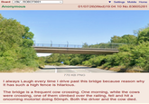 Board /r9k/ - ROBOT9001 Anonymous Settings Mobile Home 01/07/26(Wed)19:04:10 No.83605281 770 KB PNG I always Laugh every time I drive past this bridge because reason why It has such a high fence is hilarious. The bridge is a frequent cow crossing. One morning, while the cows were crossing, one of them climbed over the railing, fell and hit a oncoming motorist doing 50mph. Both the driver and the cow died.