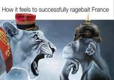 How it feels to successfully ragebait France