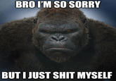 BRO I'M SO SORRY BUT I JUST S--- MYSELF