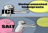 D ICE Undocumented Immigrants SALT