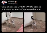 Louise @Selkies Very obsessed with the WIDE stance she does when she's annoyed at me