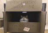 PSYCHIATRIC HELP 50 THE DOCTOR IS IN