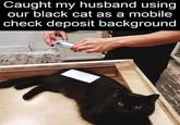 Caught my husband using our black cat as a mobile check deposit background