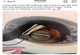 < Back Thread 33.4Kviews Lucky day! I just left Safeway and came to get gas and this was peeking back at me!! What a Treat. Thank you a ton to whoever surprised me! sey Salon OT A CAUTION REMOVE SLOWLY TIGHTEN UNTIL 1 CLICK CHECK may come on.