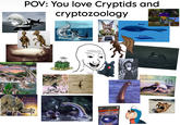 POV: You love Cryptids and cryptozoology MYTHICAL MONSTERS The Scariest creatures from legend, fairy tale and falle WANT TO BELIEVE PCCO H PC MONSTERQUEST Seek and Rever Seek OTH Bloop Blue Whale
