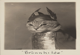 "Brünnhilde"