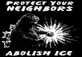 PROTECT YOUR NEIGHBORS ABOLISH ICE