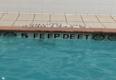 5 FEEP DEET OC 5 FEET DEEP NO DIVING