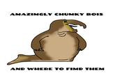 AMAZIMGLY CHUMKY BOIS AND WHERE TO FIMD THEM