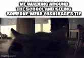 ME WALKING AROUND THE SCHOOL AND SEEING SOMEONE WEAR YOSHIKAGE'S TIE imgflip.com