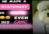 HE MADE A STATEMENT SO CUTE >< EVEN HIS GANG CRACKED HIM