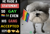 HE MADE A STATEMENT SO GAY EVEN HIS GANG ACCEPTED HIM LTK imgflip.com @LTKO