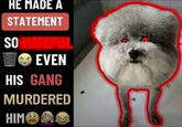 HE MADE A STATEMENT SO MATER EVEN HIS GANG MURDERED HIMA