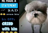 HE MADE A STATEMENT So SAD even his his OPPS CRIED with him