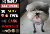HE MADE A STATEMENT SO SEXY EVEN HIS GANG WANTED HIM imgflip.com @LTK