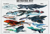 GILL MANTLE Txampaysye METKAYINA REEF Pandora Megafauna AKULA Pxazang PINCER FISH Sloapek SKIMWING Tsurak TULKUN DORADO VERDE OTTER SPADE WING