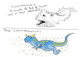 Camotaurus! A mouth of full of teeth and a bad attitude!! The Carnotaurus: