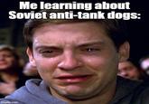 Me learning about Soviet anti-tank dogs: imgflip.com