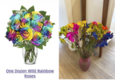 One Dozen Wild Rainbow Roses
