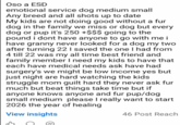Oso a ESD emotional service dog medium small Any breed and all shots up to date My kids are not doing good without a fur dog in the family we miss or dog but every dog or pup it's 250 +$$$ going to the pound i dont have anyone to go with me i have granny never looked for a dog my two after turning 22 I saved the one I had from 4 till 22 was my all time best friend and family member I need my kids to have that each have medical needs ask have had surgery's we might be low income yes but just night are hard watching the kids struggle mom guilt hard they never ask fur much but beat things take time but if anyone knows anyone and fur pup/dog small medium please I really want to start 2026 the year of healing View insights 46 Post Reach
