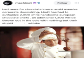 machinot E Follow bad news for chocolate lovers: amid massive corporate downsizing, Lindt has had to euthanize 2,000 of its handsome european chocolate chefs. an additional 1,300 will be thrown out in the cold with nothing but their stupid whisks Lindt Lind