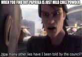 WHEN YOU FIND OUT PAPRIKA IS JUST MILD CHILI POWDER How many other lies have I been told by the council?