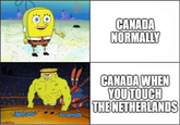 imgflip.com CANADA NORMALLY CANADA WHEN YOU TOUCH THE NETHERLANDS
